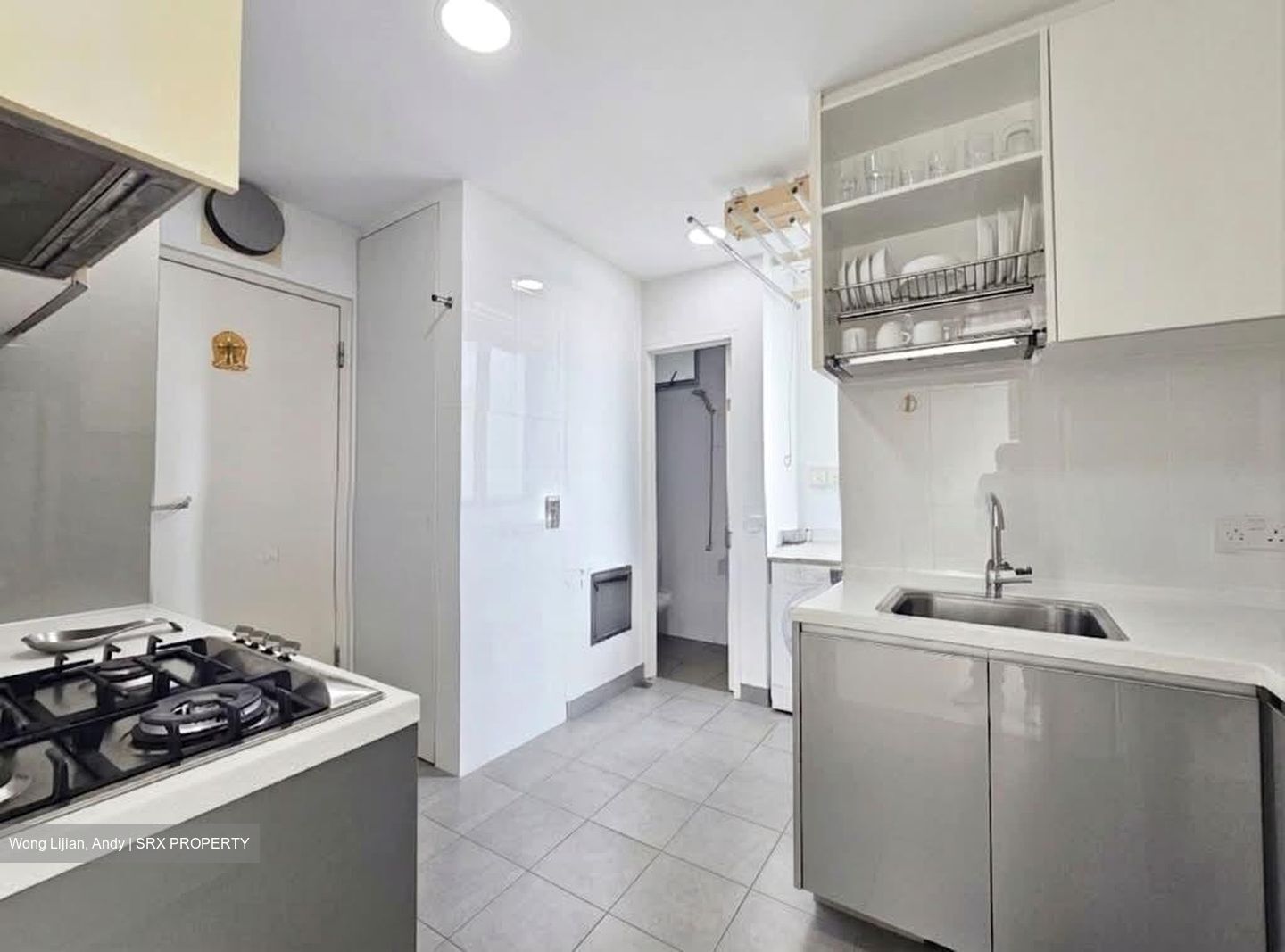 The Riverine By The Park (D12), Apartment #617024831